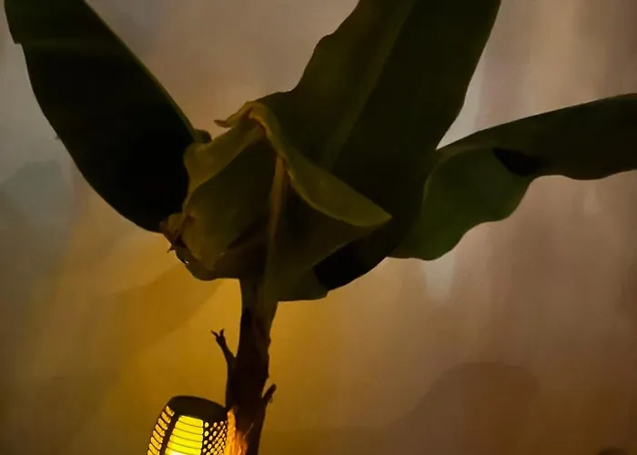 Apartment Casa Luna *