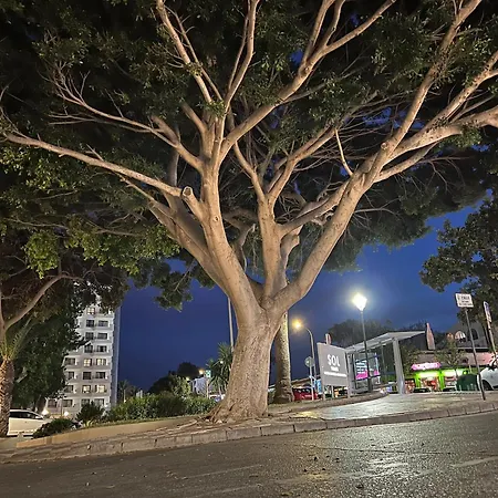 Apartamento Casa Luna