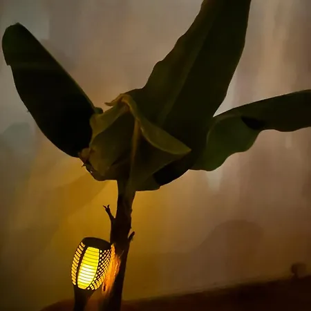 Apartamento Casa Luna *